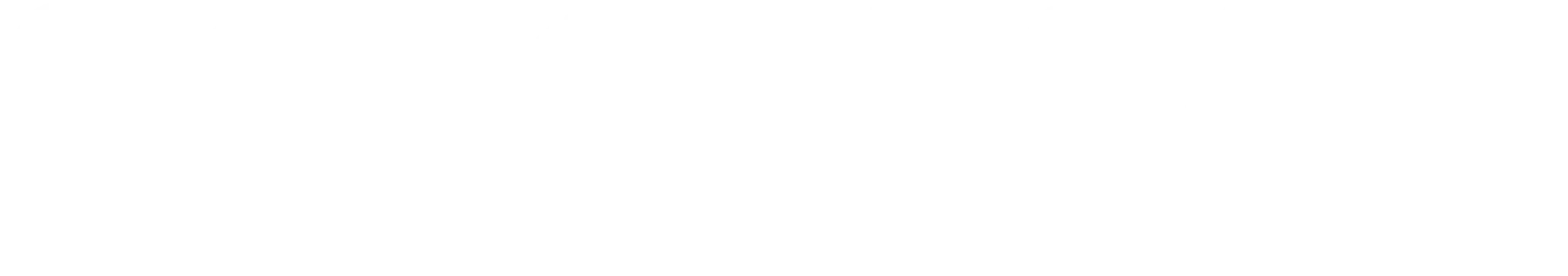 seton high school logo