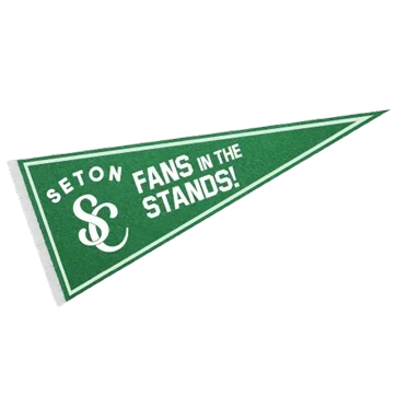 FIS-pennant-thumbnail